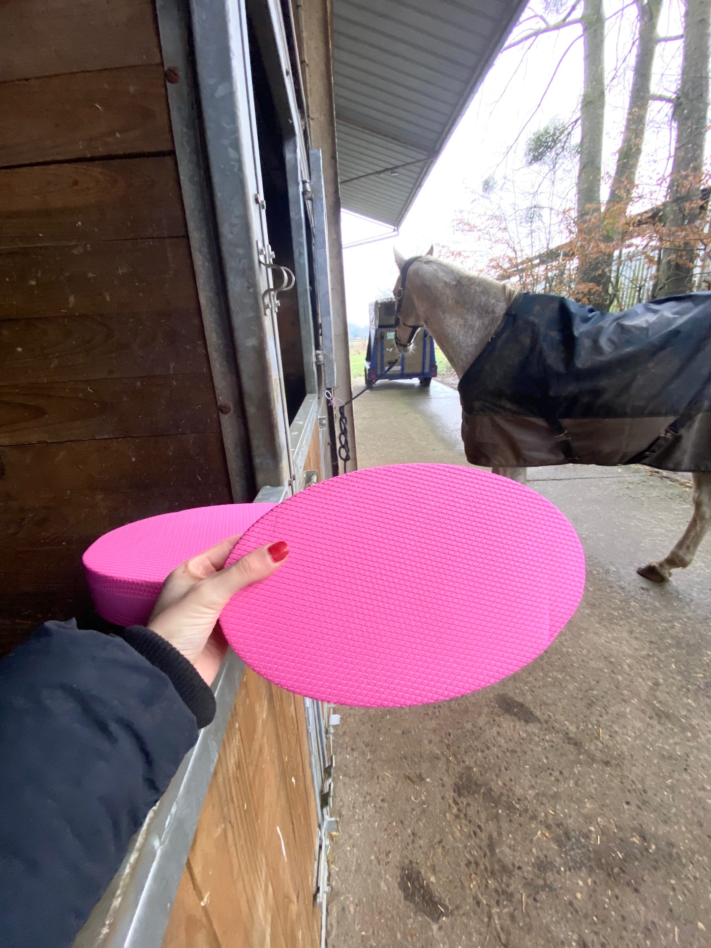 Pads de proprioception équin (x2)